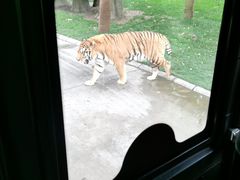 -北京野生动物园