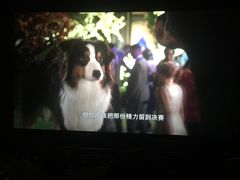 -博纳国际影城(铜锣湾激光巨幕杜比店)