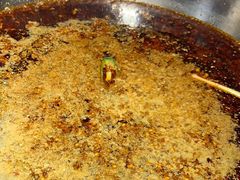 红锅锅底-蜀滋香鲜鱼美蛙火锅(339店)