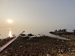 -养马岛旅游度假区