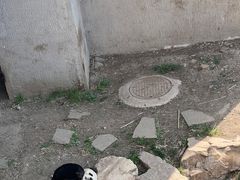 -沈阳森林动物园