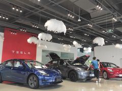-TESLA 特斯拉(深圳观澜特斯拉直营钣喷中心)