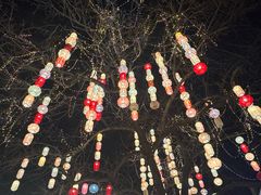 -润和祥小砵头甜酒酿