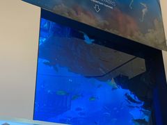 -迪拜水族馆及水下动物园