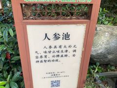 -英德宝晶宫天鹅湖茶语温泉