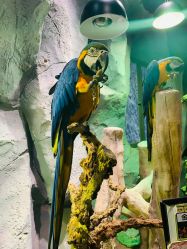 -Zoolung Zoolung动物主题公园(海信广场店)