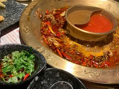 -哥老官重庆美蛙鱼头(龙湖杭州金沙天街店)