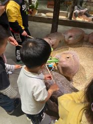 -造物庄园 萌宠纪(苏州湾歌林公园店)