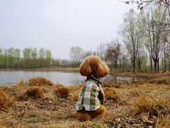 -东郊湿地公园
