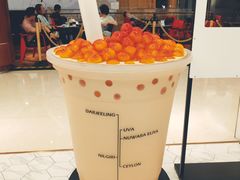 -KOI Thé(力宝广场店)