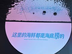 -海底捞大排档火锅(打浦路店)