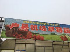-恒绿农产品草莓采摘园