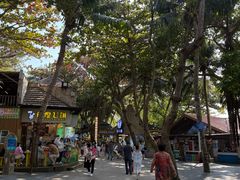 -海南分界洲岛旅游区