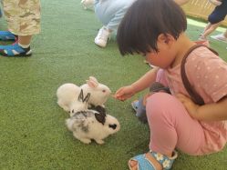 -萌宠亲子动物乐园(槐房万达店)