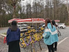 -青龙山国家森林公园