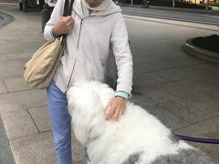 -Pantry's Best派悦坊蛋糕(K11购物艺术中心店)
