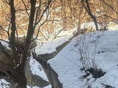 -少华山国家森林公园