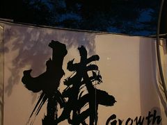 -椿Growth