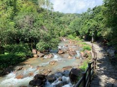 -广州白江湖森林公园