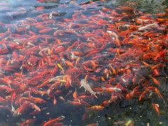 -水磨沟公园