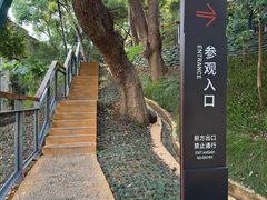 -马王堆汉墓遗址