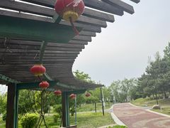 -莫子山公园