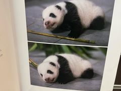 -新华书店(新街口旗舰店)