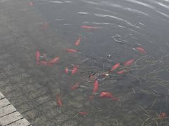 -苏州河梦清园环保主题公园