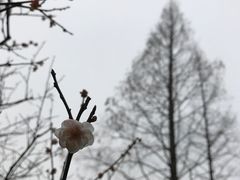 -复旦大学光华楼
