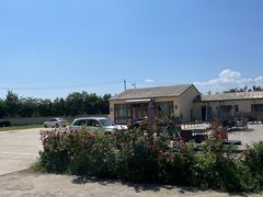 -北京群众马术培训基地