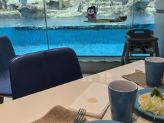 -帝企鹅自助餐厅•儿童岛•真企鹅(长隆企鹅酒店)