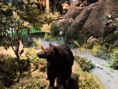 -陕西自然博物馆