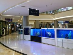 -红星美凯龙(上海沪南店)