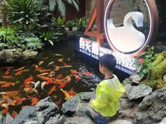 -白天鹅宾馆-宏图府餐厅