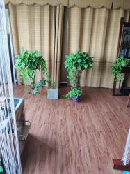 -思巧美容养生馆