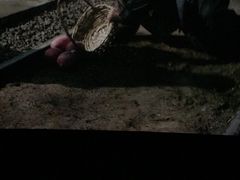 -SFC上影影城(成都科华IMAX店)