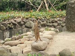 -上海野生动物园