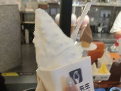 -野人先生Gelato(上海长宁龙之梦店)