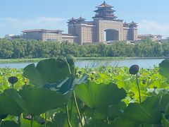 -莲花池公园