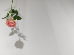 -成都失恋馆