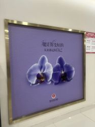 -重庆五洲妇儿医院·妇幼保健