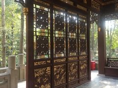 -汇龙潭