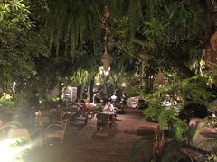 -Fern Forest Cafe