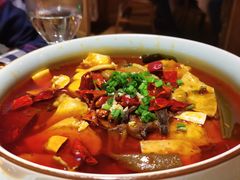 渝信毛血旺-渝信川菜(西单店)