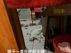 -老龙亭拉面店
