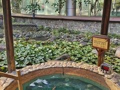 -明月山天沐温泉度假村