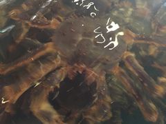 -蟹之国·精品蟹料理(极地店)