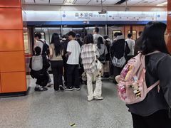 -嘉禾望岗(地铁站)