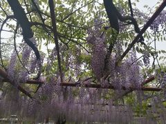 -尹兰楼西北风情餐厅(嘉定店)