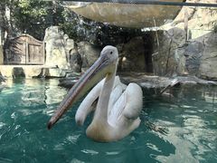 -波塞冬旅游度假区